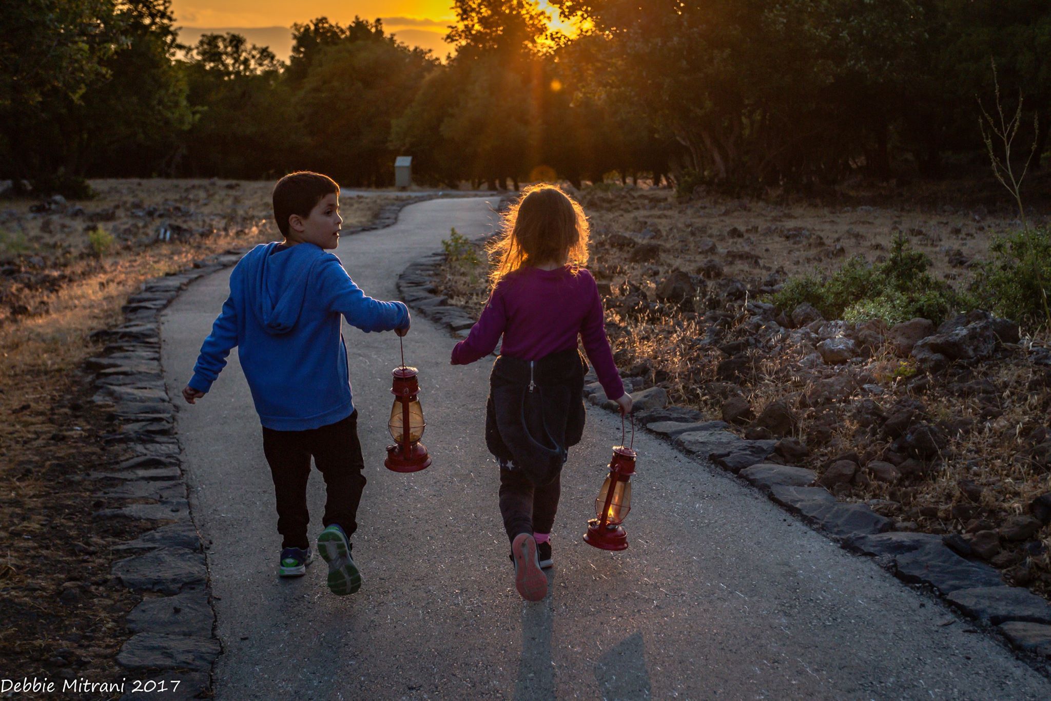 סיור עששיות ביער אודם | צילום: דבי מיטרני