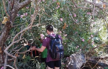 טיול צעירים (עד 38) בנחל ג'ילבון – המסלול המלא! (3)