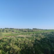 תמונה מתוך למטייל בישראל (טיולי)