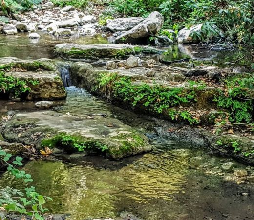 תמונה של עדכונים שוטפים: המדריך להנחיות הקורונה החדשות - למטייל בישראל (טיולי)