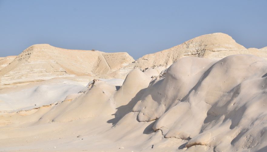חמוקי ניצנה. צילום: אינה מנשה