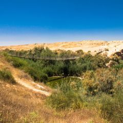 תמונה של הגשר התלוי מעל נחל הבשור - למטיל בישראל