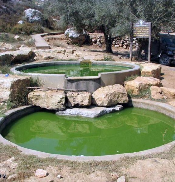 תמונה של מעיין הגבורה - למטייל בישראל (טיולי)