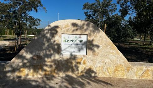 תמונה של יער השירים - למטייל בישראל (טיולי)