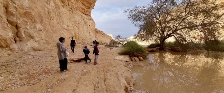 אורן פריטל: טיולי ג'יפים במדבר (1)