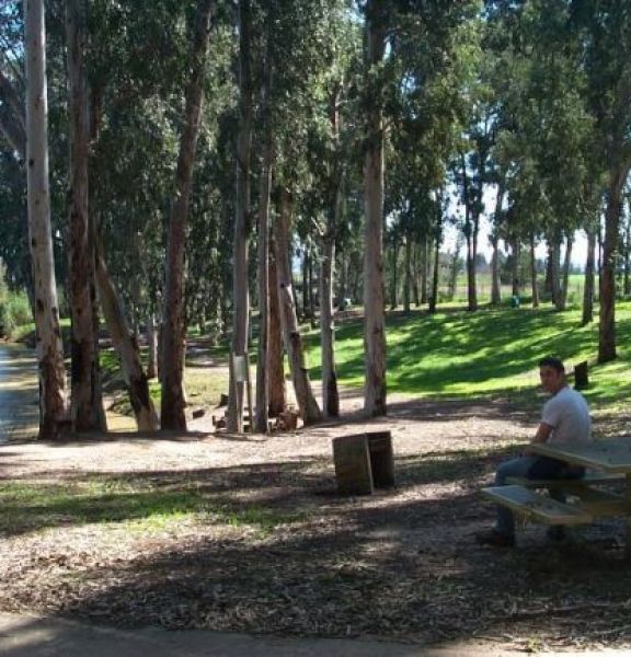 תמונה של קמפינג במקורות הירקון / פארק אפק - למטייל בישראל (טיולי)