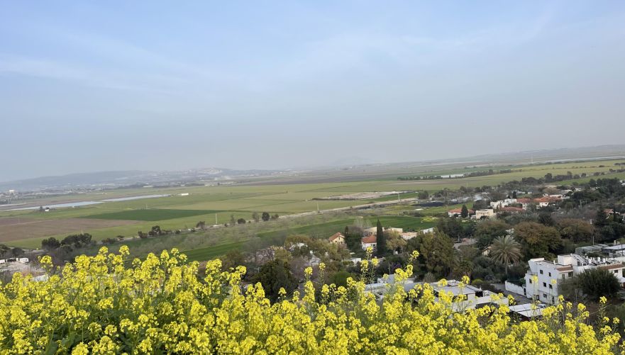 צילום: פז פרחי