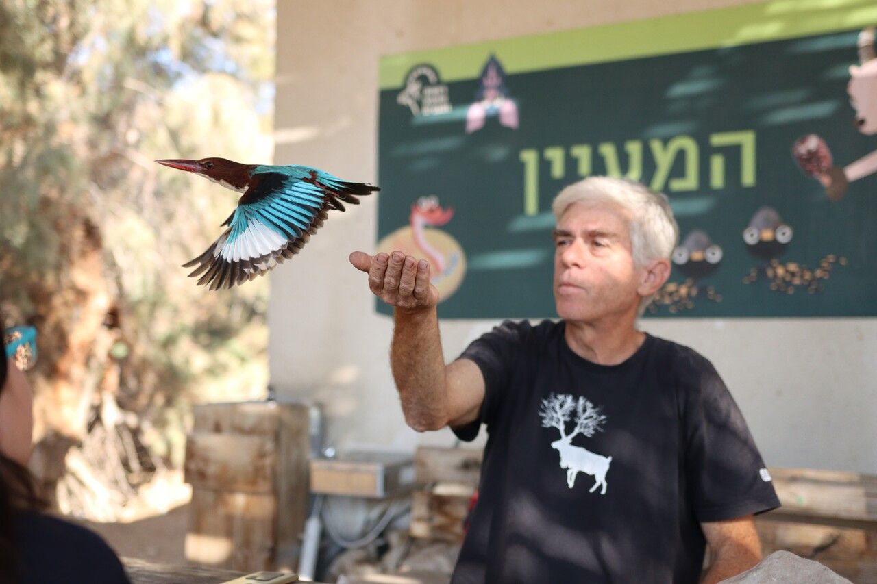 שמורת טבע עינות צוקים