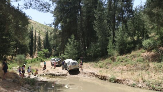 תמונה של אל הצפון הרחוק: טיול בין נופים, מעיינות ופסגות! - טיולי
