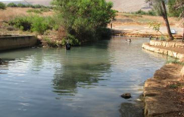 עין שוקק (3)