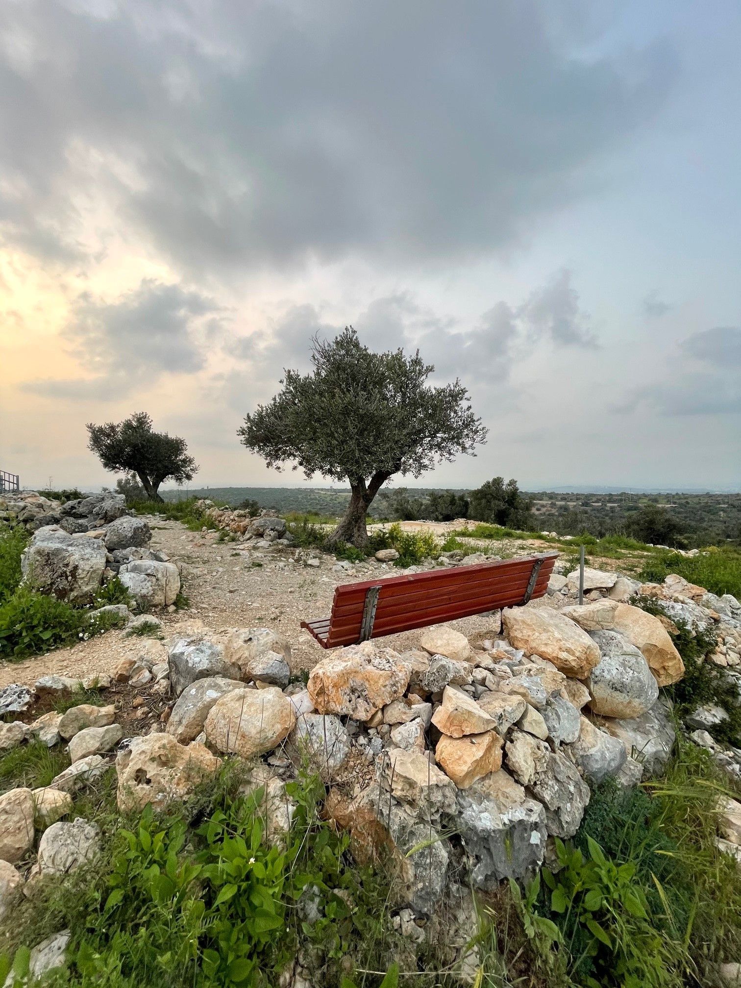 זה המקום לתצפית מרהיבה בסוף המסלול | צילום: ארז דגן