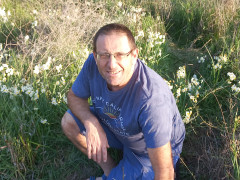 נרקיס מצוי - צילום של Iddo_3270859 - למטייל בישראל (טיולי)