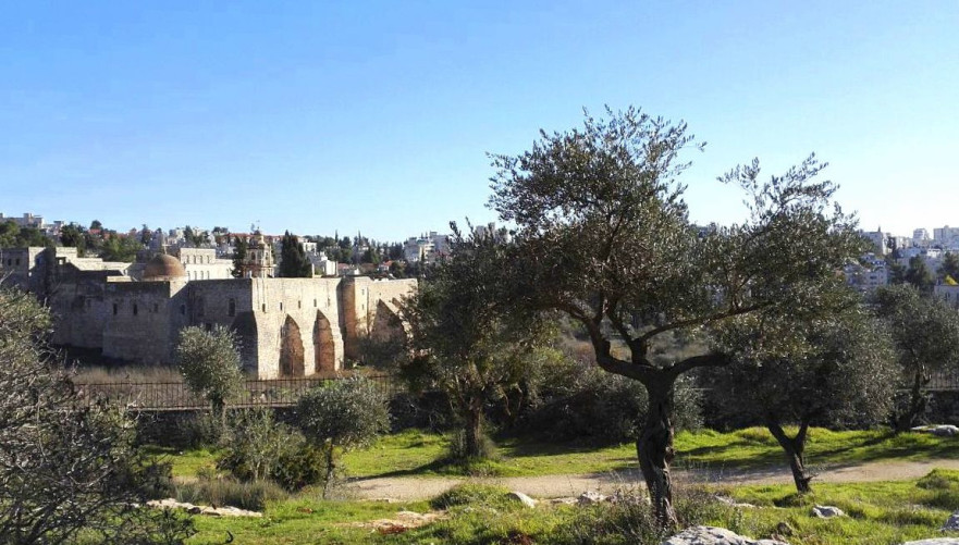 עמק המצלבה. צילום: אינה מנשה