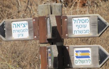 צומת השבילים בתחילת המסלול - הר חרת, מוצא ומאגר בית זית: שקדיות ומושבה נשכחת (2)