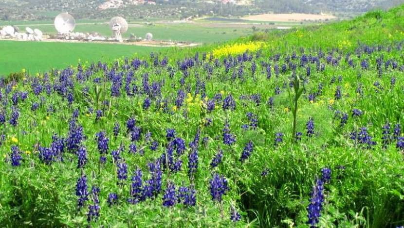 הצבעים היפים של הטבע | צילום: יוחאי כורם