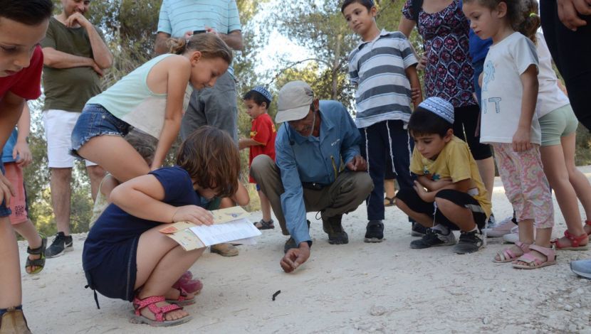 קסם של קיץ: 4 פעילויות שוברות שגרה לכל המשפחה במדבר (1)