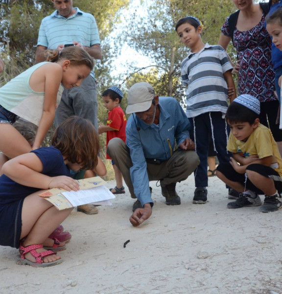 תמונה של קסם של קיץ: 4 פעילויות שוברות שגרה לכל המשפחה במדבר - למטייל בישראל (טיולי)