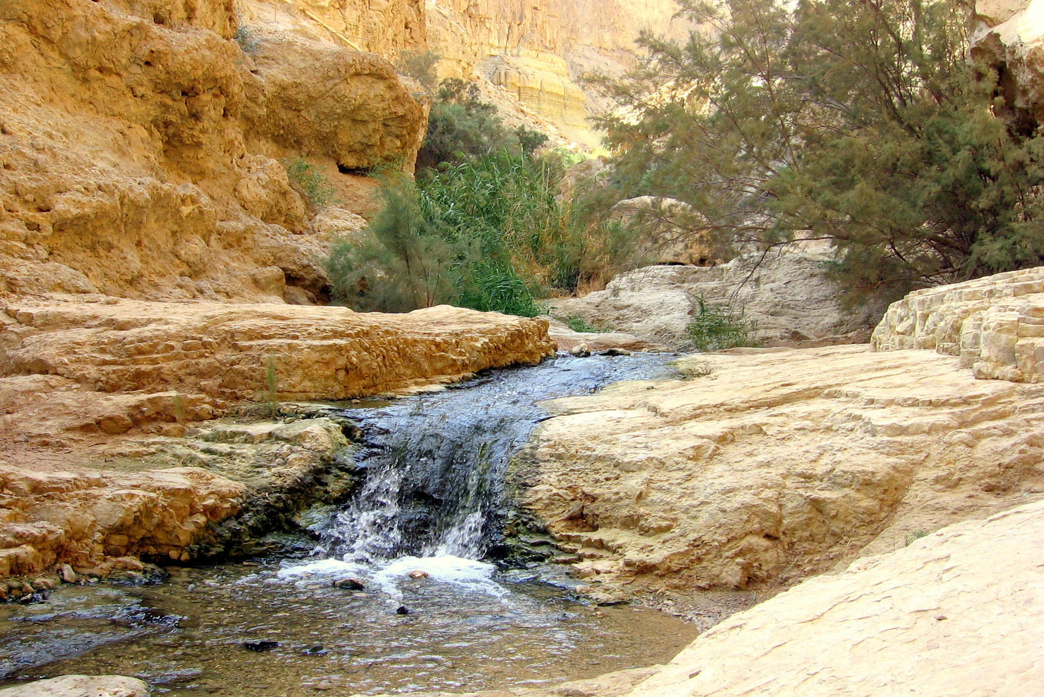 תמונה מתוך תוכן באתר למטייל בישראל (טיולי)