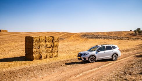 תמונה של שביל ישראל 4X4 - מקטע 8: ממצפה משואה ליער להב - למטייל בישראל (טיולי)