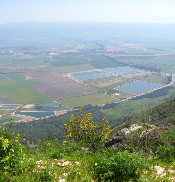 תמונה של דרך נוף הרי נפתלי: רכס רמים, צוק מנרה, מעיין רועים - למטייל בישראל (טיולי)