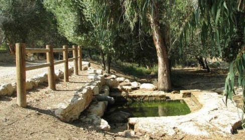 תמונה של עין מסילה - למטייל בישראל (טיולי)