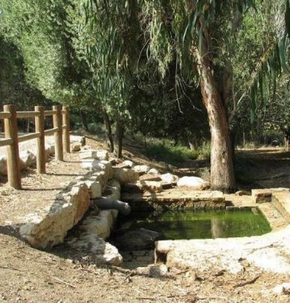 תמונה של עין מסילה - למטייל בישראל (טיולי)