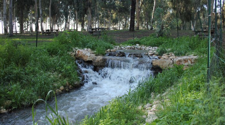 תמונה של מתאווררים בטבע העירוני: 3 טיולים יפים לאורך שבילי הירקון - למטייל בישראל (טיולי)