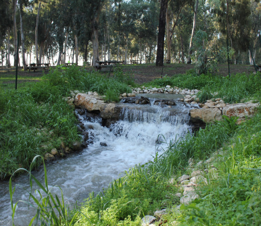 תמונה של מתאווררים בטבע העירוני: 3 טיולים יפים לאורך שבילי הירקון - למטייל בישראל (טיולי)