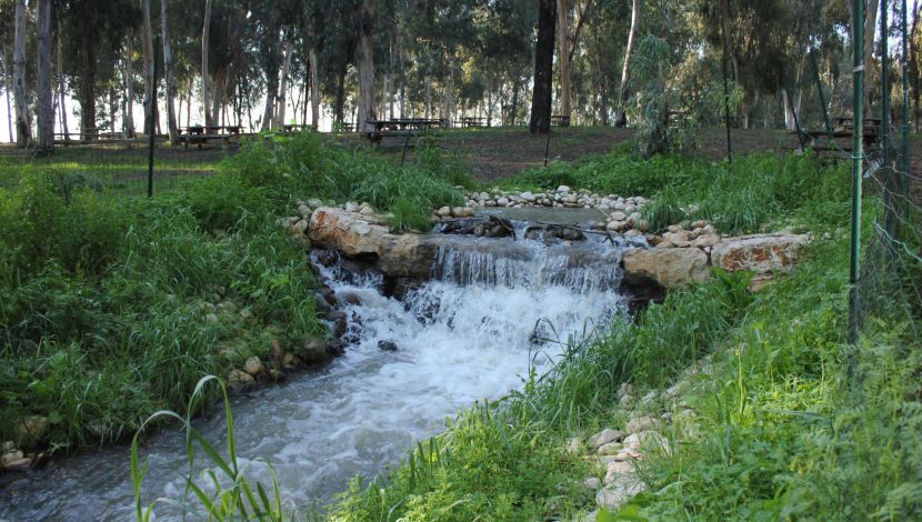 פארק מקורות הירקון - מתאווררים בטבע העירוני: 3 טיולים יפים לאורך שבילי הירקון (1)