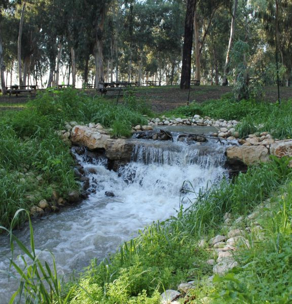 תמונה של מתאווררים בטבע העירוני: 3 טיולים יפים לאורך שבילי הירקון - למטייל בישראל (טיולי)