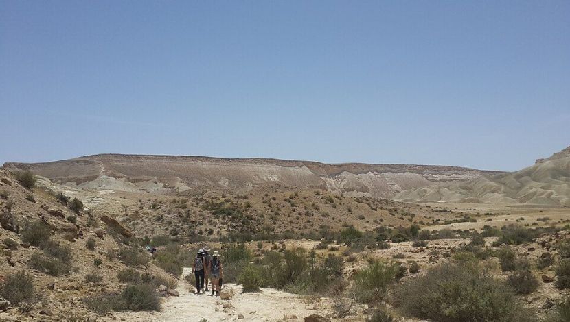 נחל קרקש (1)