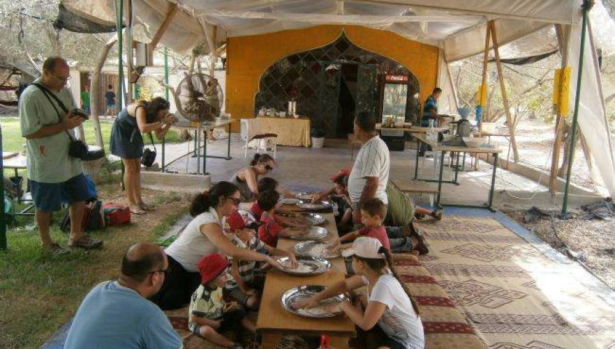 צילום: חוות הזיתים אלאדין