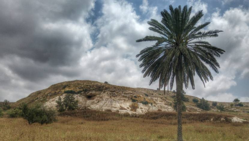 תל צפית, צילום: איתמר ברק