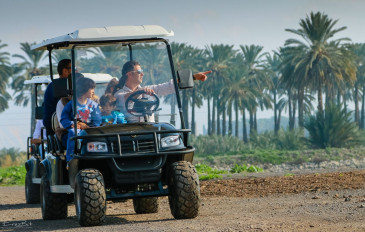 מבלים עם בעלי חיים: 5 אטרקציות שוות בממלכת החיות (2)