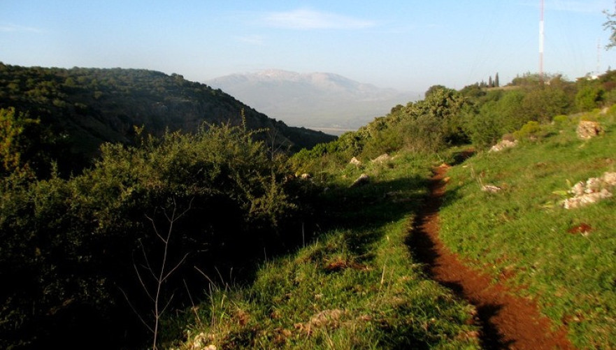 תמונה מתוך תוכן באתר למטייל בישראל (טיולי)