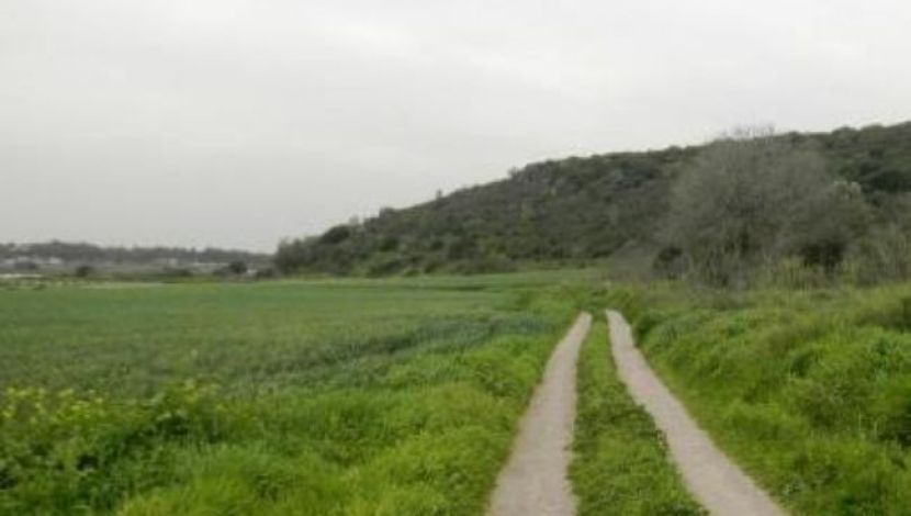 לאן ,לאן מושכת הדרך ?אל הפריכות של 