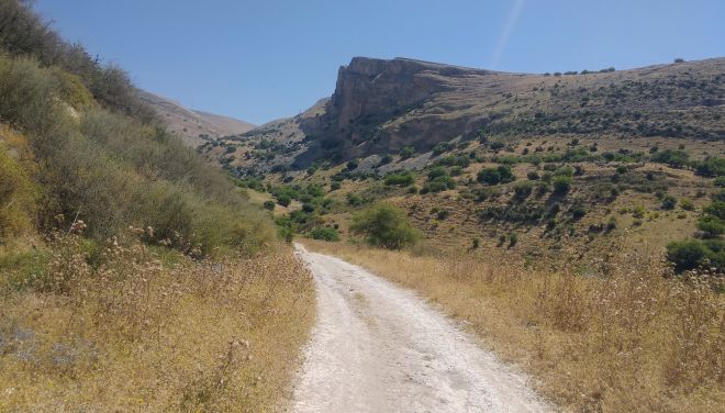 מצוק עכברה