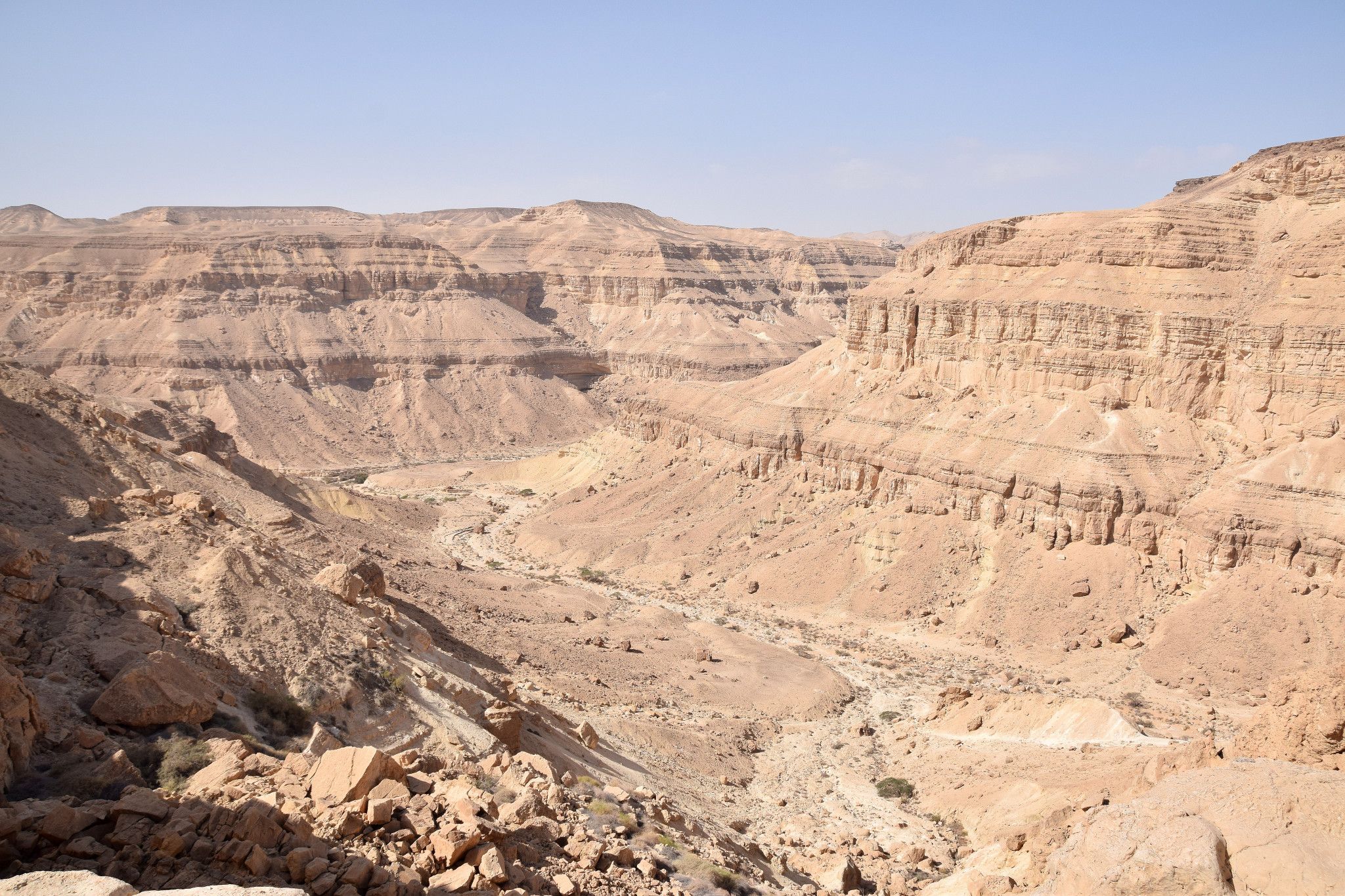 צילום: אילן מנשה
