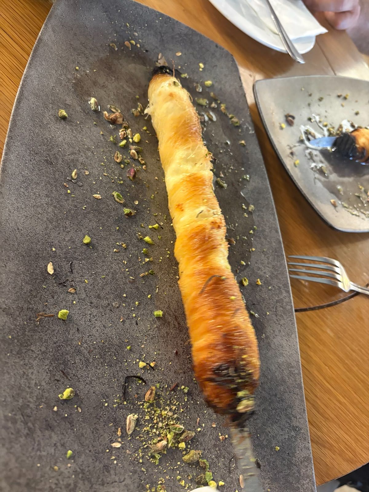 צילום מערכת
