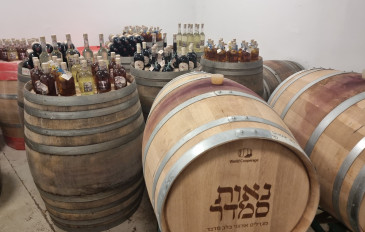 יקב נאות סמדר - מקריית גת עד אילת: הנגב משאיר חותם על מפת היין העולמית (2)