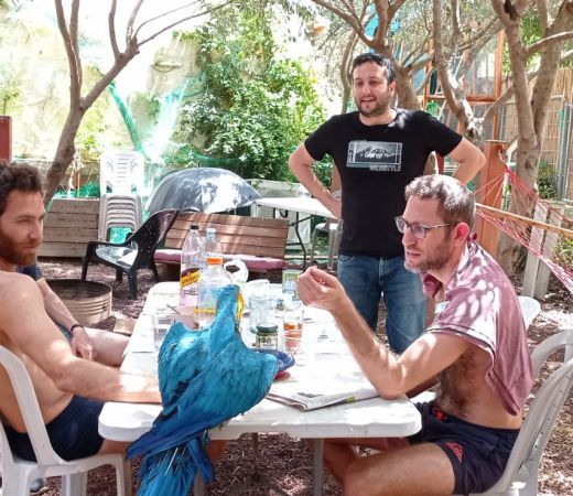 תמונה של דום בצל הזית: חופשה בסטייל ברמת הגולן - למטייל בישראל (טיולי)
