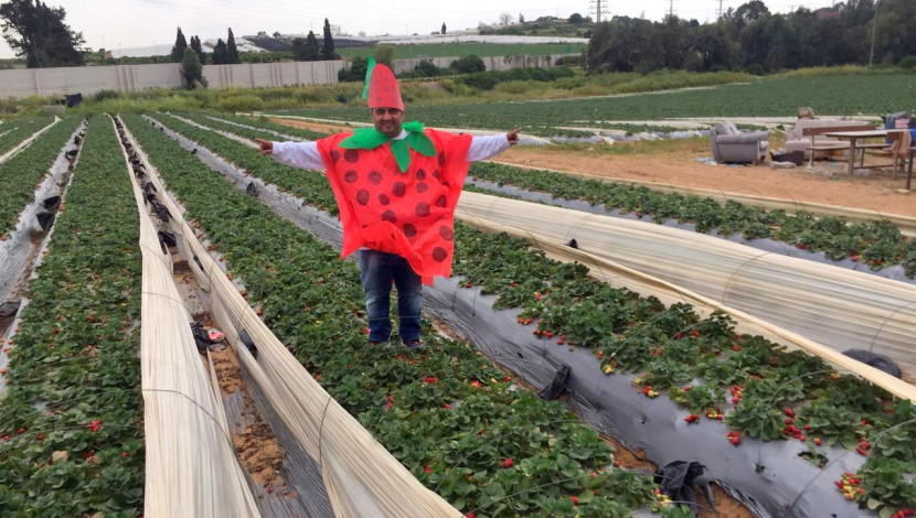 פורים בתותלאנד: הפנינג מתוק במיוחד! (1)