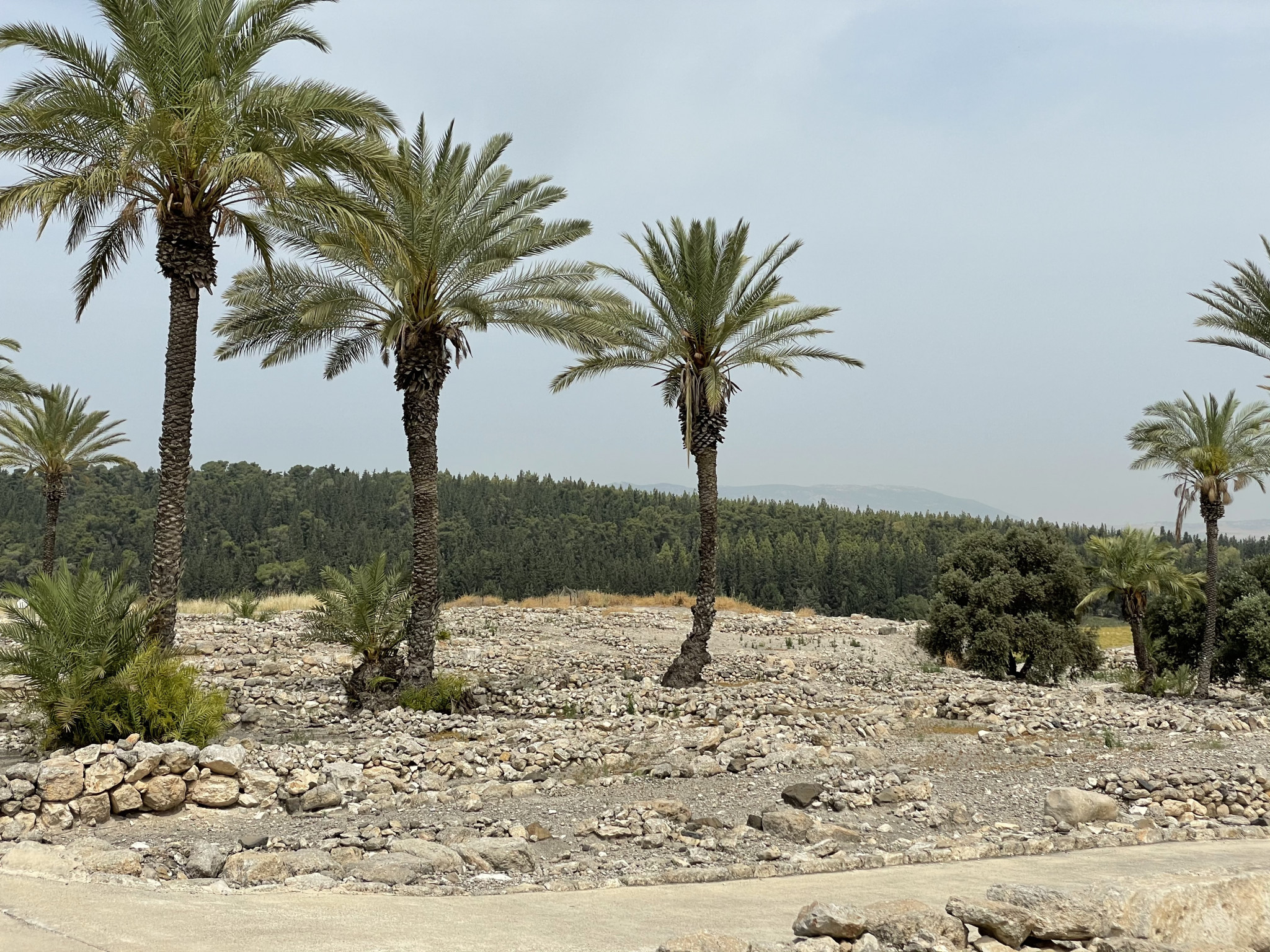 גן לאומי תל מגידו | צילום: שיר בהר