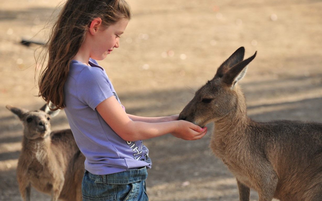 תמונה מתוך תוכן באתר למטייל בישראל (טיולי)