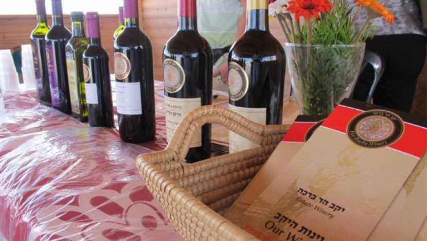 יקב הר ברכה - ברכה על ההר - יקב ומסעדה (1)