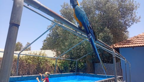 תמונה של דום בצל הזית: חופשה בסטייל ברמת הגולן - למטייל בישראל (טיולי)