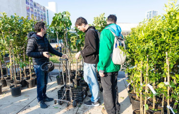 אביב הגיע, טבע בא: חודש עירוני בתל אביב יפו (2)