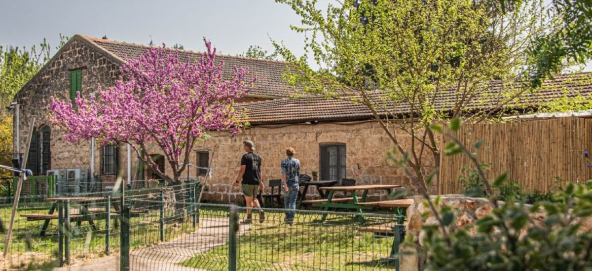 קיץ קריר ומהנה: האטרקציות הממוזגות שיצננו לכם את החופש הגדול (1)