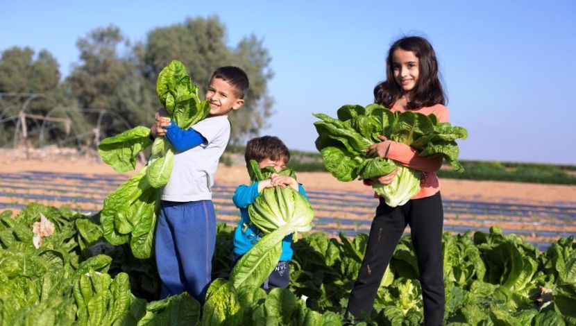 פסחקלאי 2025 בצפון הנגב (1)