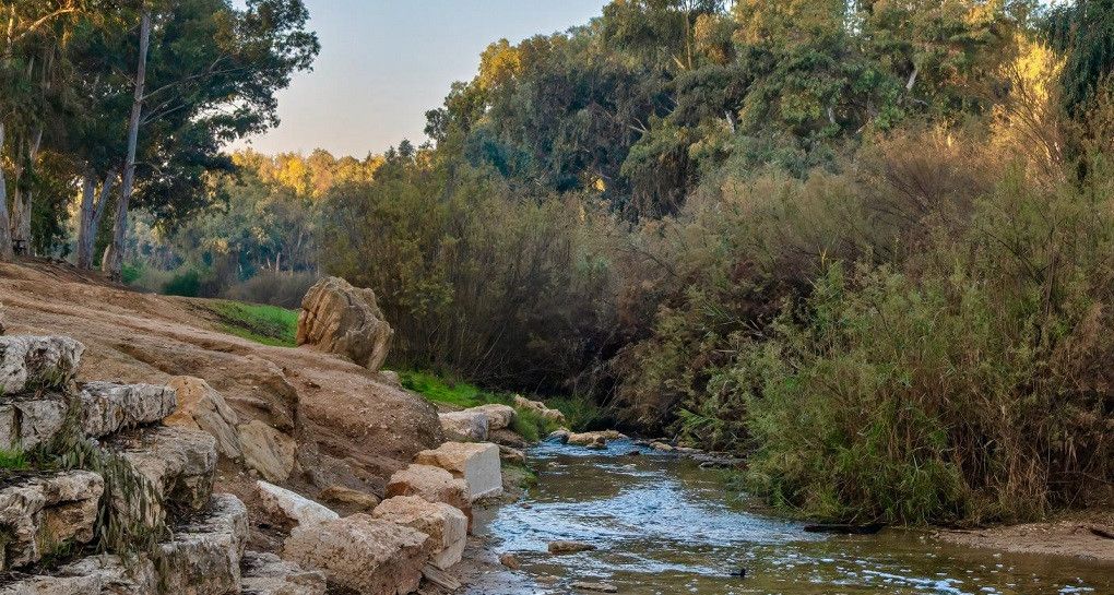 מים זורמים בנגב המערבי, נחל גרר | צילום: בוני שיינמן, קקל